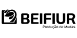 Logo Beifur